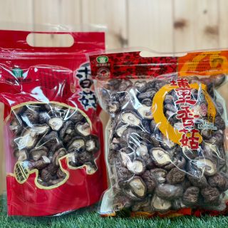 鈕扣菇 (1)